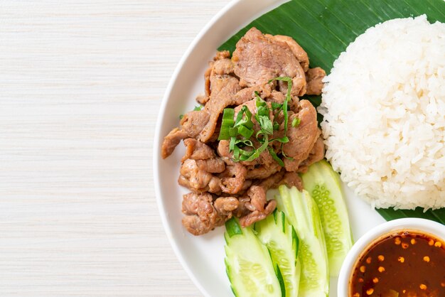 grilled pork garlic with rice with spicy sauce in Asian style