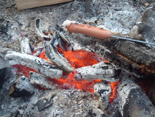 Grilled sausage over the fire Sausage impaled on a skewer Quick dinner at a campsite outside the city Hot dogs over a small bonfire Grilled sausages on an open fire in the open air