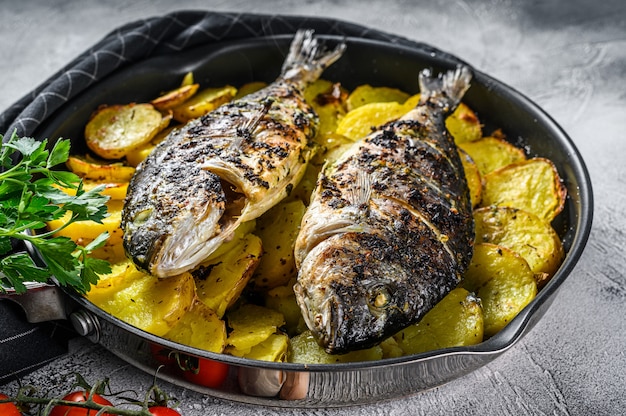 Grilled sea bream fish with potatoes in a pan