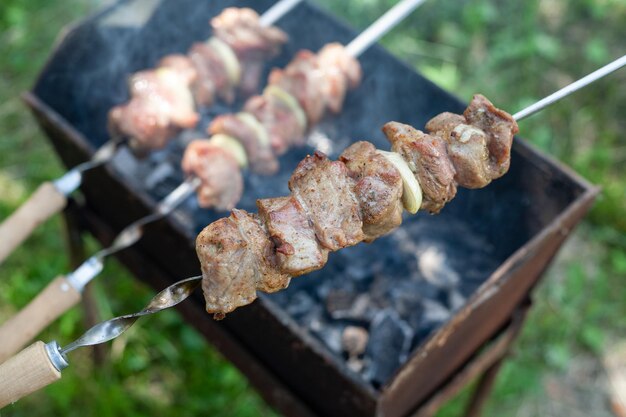 Grilled skewers on a skewer. Against the background of the mango.