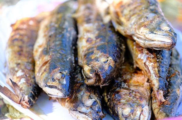 スパイシーなサバの魚を皿に焼きました。焼き魚。グリルで焼いた魚