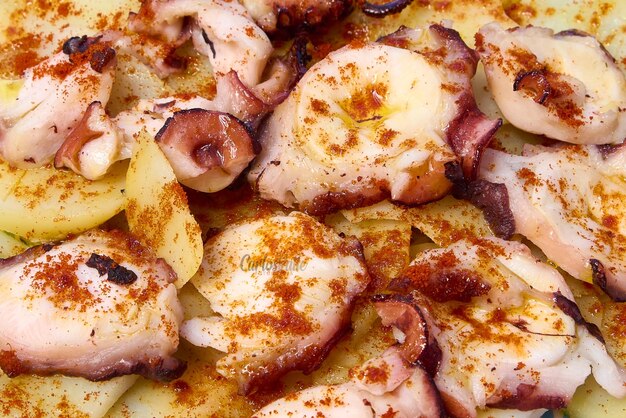 Foto calamari alla griglia con patate su un piatto su sfondo bianco