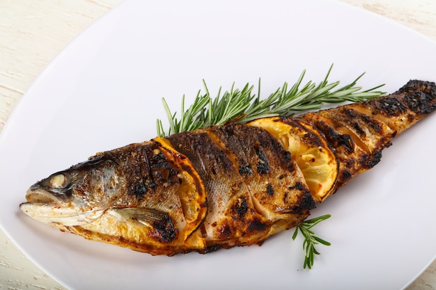 grilled trout