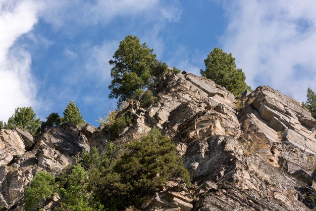 Grillige kliffen boven Holland Creek in Montana