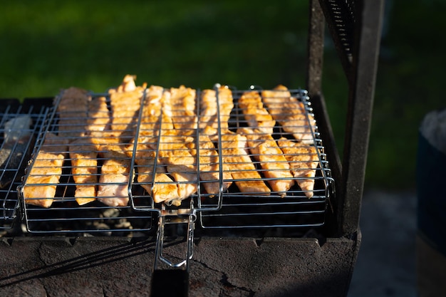 ピクニックでグリルで魚を焼く