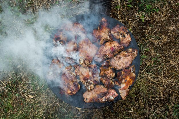 Photo grilling meat on wood stove