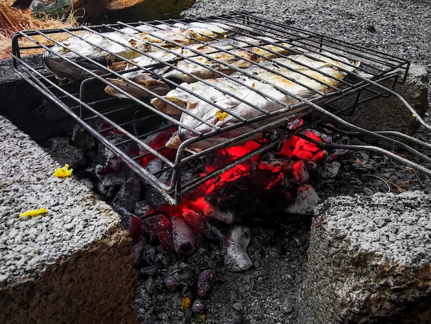 Grilling puffer fish on grill Food photography Selective focus