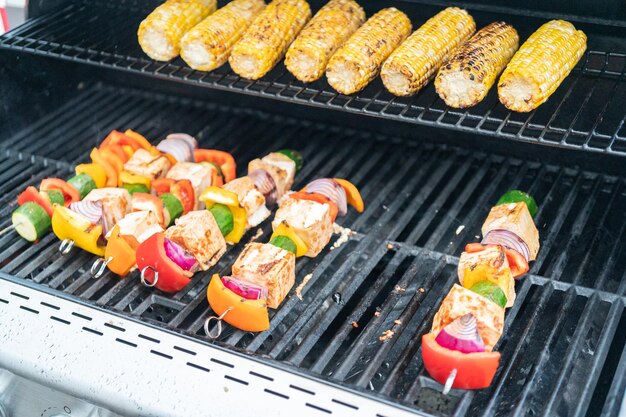 Grilling vegetarian tofu kebab with vegetables marinated in spicy sauce.