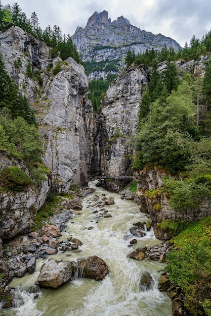 La gola del ghiacciaio di grindelwald