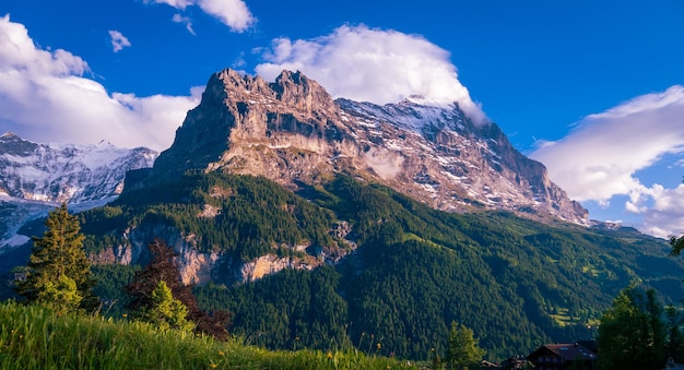 Grindelwald is a municipality in the canton of Bern in Switzerland Switzerland