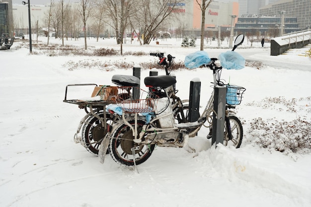 Photo grocery delivery food delivery online orders russia moscow november 24 2023
