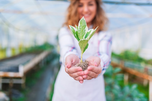 Groeiende plant