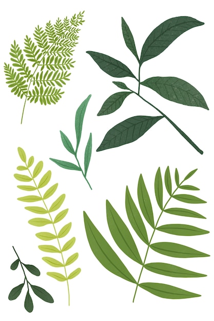 Groen blad ontwerp element set transparante png