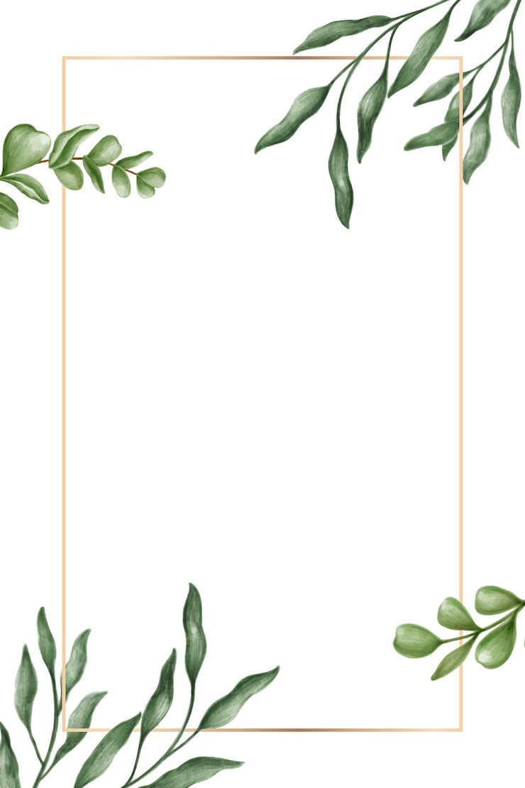 Foto groen blad raam doorzichtig png