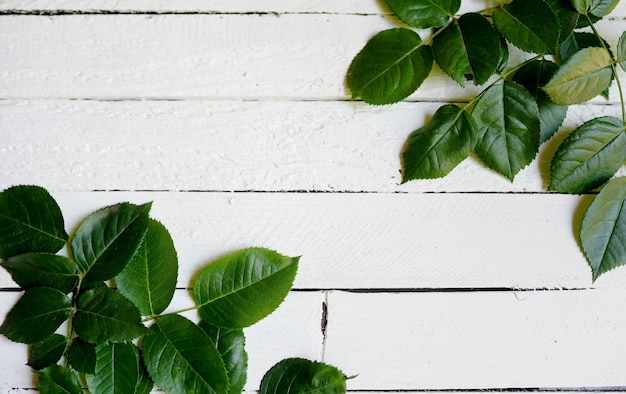 Groen bladerenkader op witte houten. kopie ruimte