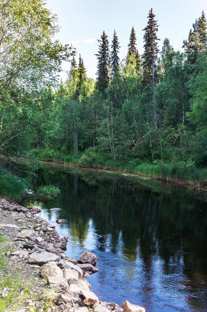 Foto groen bos en blauwe rivier, finland. oulanka nationaal park