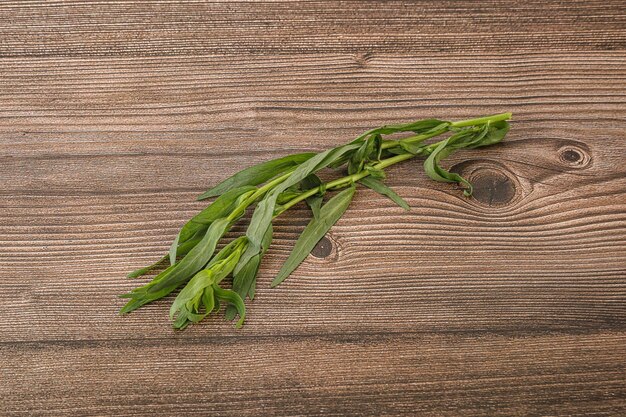 Groen dragonkruidkruidaroma voor koken