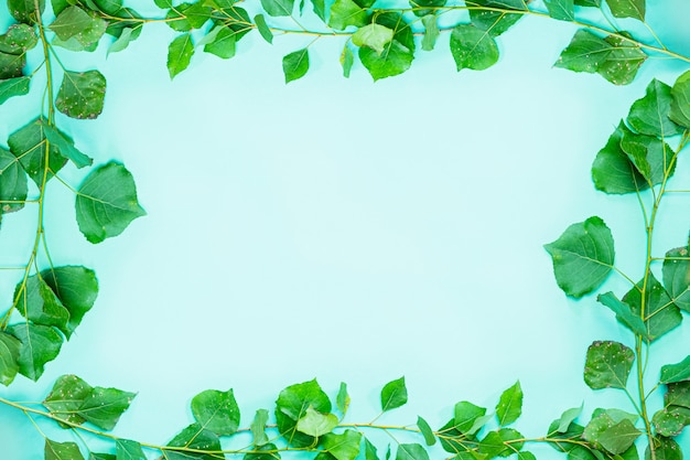 Groen frame dat uit verse groene popplar takken en bladerenframe achtergrond wordt samengesteld
