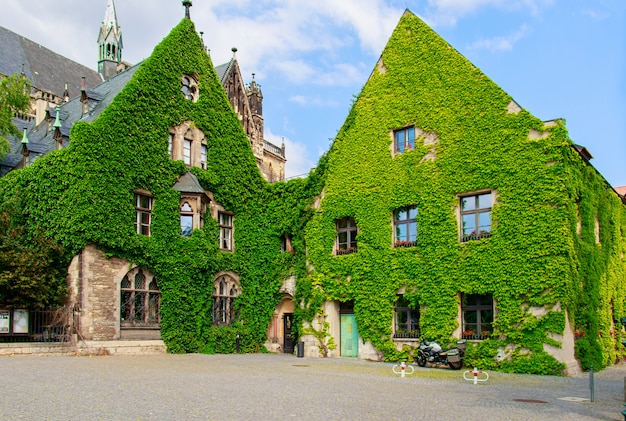 Groen gebouw bedekt met planten in duitsland