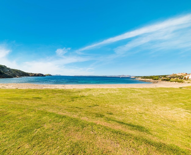 Groen gras aan zee op Sardinië Italië