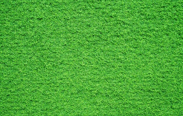 Groen gras achtergrond voetbalveld