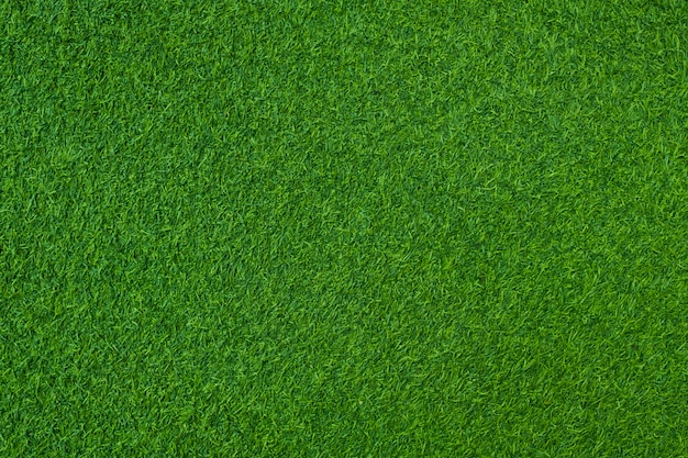 Groen gras achtergrond, voetbalveld