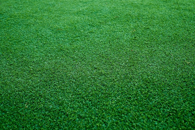 Groen gras achtergrond voetbalveld