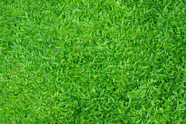 Groen gras achtergrond voetbalveld