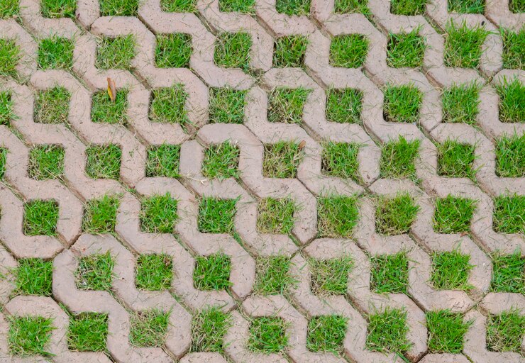 Groen gras achtergrond