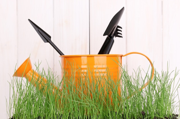 Groen gras en tuingereedschap op houten ruimte