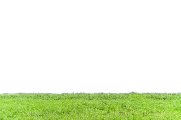 Groen gras en witte achtergrond met een groen veld en de lucht op de achtergrond