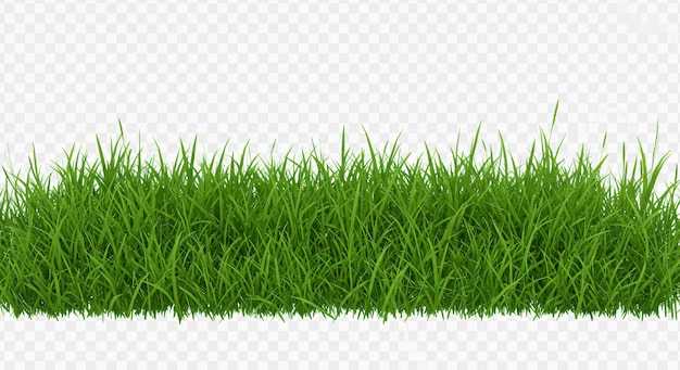 Groen gras Grens achtergrond