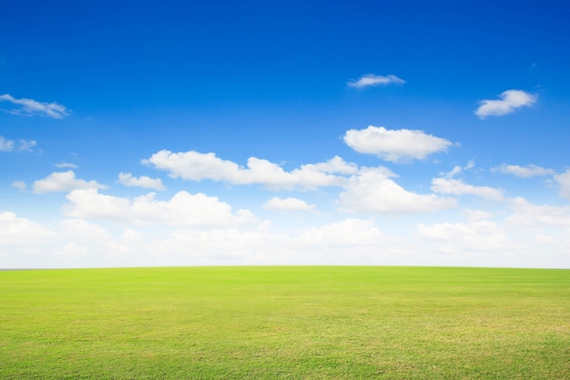 groen gras met blauwe lucht en witte wolken