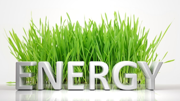 Groen gras met Energy 3D-tekst geïsoleerd op een witte achtergrond