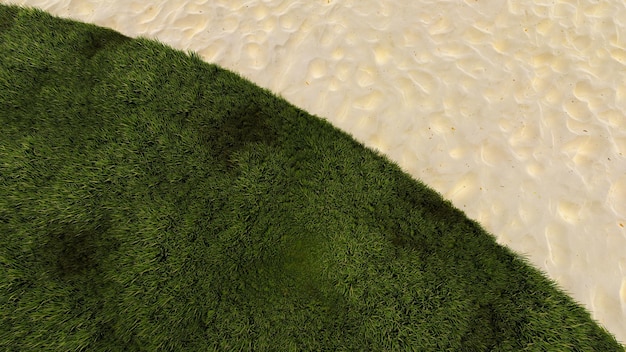 Groen gras op zandstrand achtergrond 3D-rendering