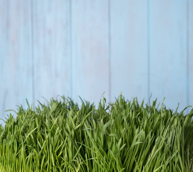 Groen gras over houten achtergrond.