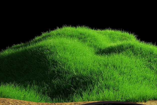 groen gras realistische natuurlijke weide voor ontwerp en enz. Heldere 3D illustratie renderen. Weelderig groen