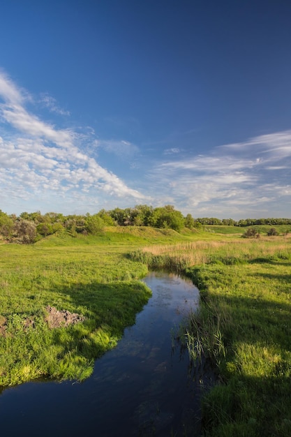 Groen gras rivier en wolken