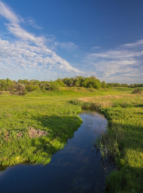 Groen gras rivier en wolken