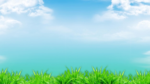 Groen gras tegen blauwe hemel en wolken met mooie bokeh wa