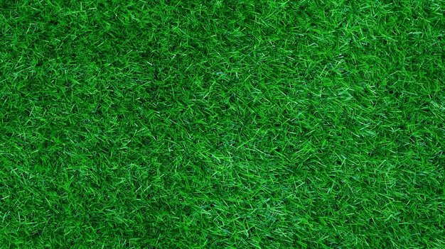 Groen gras textuur achtergrond gras tuin concept gebruikt voor het maken van groene achtergrond voetbalveld Gras Golf groen gazon patroon gestructureerde achtergrond