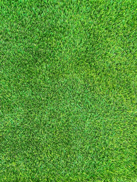 Groen gras textuur achtergrond gras tuin concept gebruikt voor het maken van groene achtergrond voetbalveld Gras Golf groen gazon patroon gestructureerde achtergrond