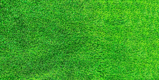 Groen gras textuur achtergrond gras tuin concept gebruikt voor het maken van groene achtergrond voetbalveld Gras Golf groen gazon patroon gestructureerde achtergrond