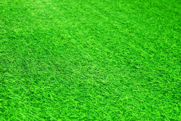 Groen gras textuur achtergrond gras tuin concept gebruikt voor het maken van groene achtergrond voetbalveld Grass Golf groen gazon patroon getextureerde backgroundx9