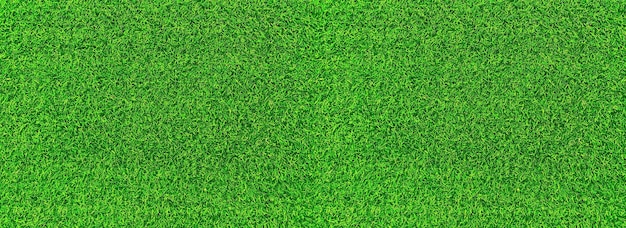 Groen gras textuur achtergrond gras tuin concept gebruikt voor het maken van groene achtergrond voetbalveld