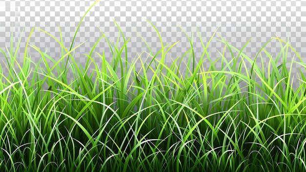 Groen gras textuur Vector illustratie van een groen grasveld Gebruik het als achtergrond voor uw ontwerp