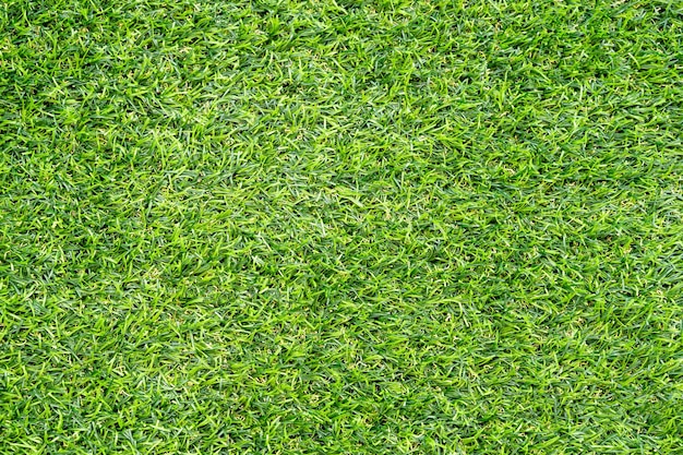 Groen gras textuur voor achtergrond. Groene gazon patroon en textuur achtergrond. Detailopname.