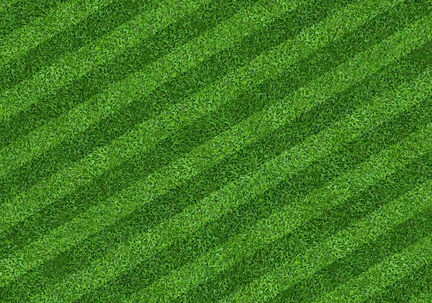 Groen gras veld achtergrond voor voetbal en voetbal sporten. Groene gazon textuur achtergrond. Detailopname.