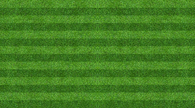Groen gras veld achtergrond voor voetbal en voetbal sporten