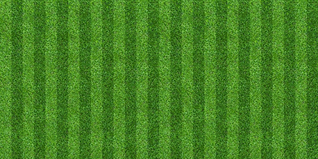 Groen gras veld achtergrond voor voetbal en voetbal sporten.